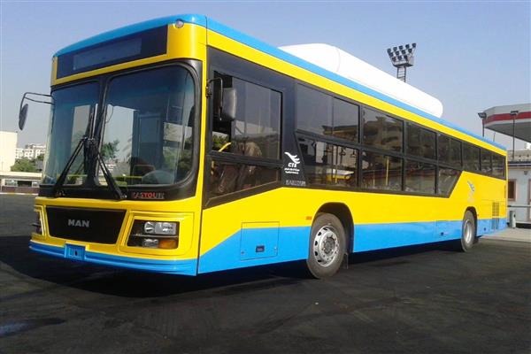 Local transport in Egypt