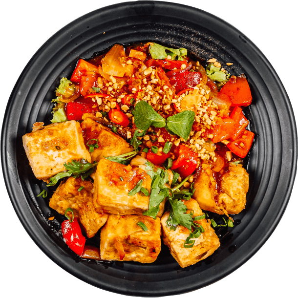 meal dish